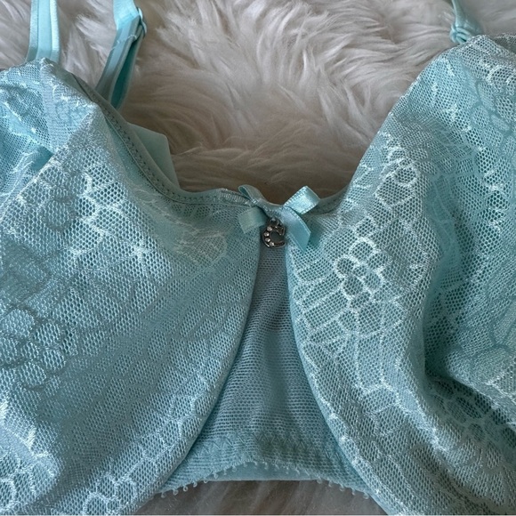 Chantelle C Magnifique Minimizer Bra, 34 DD , Powder Blue Pastel NEW 34E - Picture 4 of 11